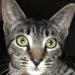 Meet your Posher, Maritza